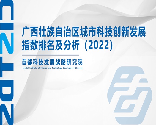 艹大bb视频【成果发布】广西壮族自治区城市科技创新发展指数排名及分析（2022）